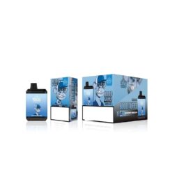 BANG KING 8000 Puffs 0% 2% 3% 5% Nikotin Tek Kullanımlık Vape Toptan Satış 6 BangKing 8000 Puff 2 VapeXYZ