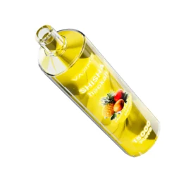 vapme chicha 15000 5 échelles VapeXYZ