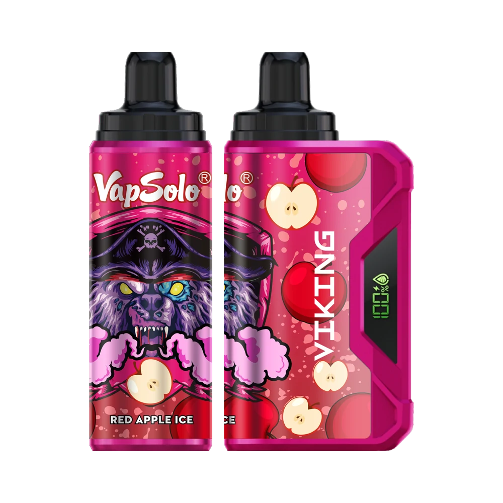 Vapsolo Viking 10000 Inginerie internă VapeXYZ