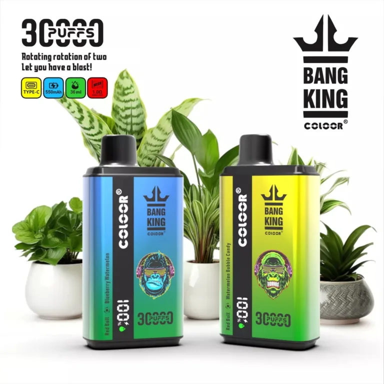 Hvad gør Bang King 30000 Puffs til den mest holdbare engangs-vape i Europa? 4 BANG KING 30000 Puffs Rechargeable Disposable Vapes