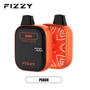 ФИЗЗИ Бум 13000 затяжек оптовая покупка ЖК-экран перезаряжаемые одноразовые вейпы wholesale 25 FIZZY Boom 13000 затяжек 2 5 оптом купить с ЖК-экраном с низким содержанием никотина перезаряжаемые одноразовые ручки для электронных сигарет оптом 1 VapeXYZ
