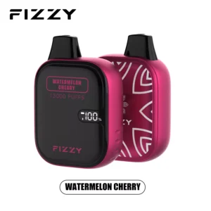 ФИЗЗИ Бум 13000 затяжек оптовая покупка ЖК-экран перезаряжаемые одноразовые вейпы опт 20 FIZZY Boom 13000 затяжек 2 5 оптом купить с ЖК-экраном с низким содержанием никотина перезаряжаемые одноразовые ручки для электронных сигарет оптом 6 VapeXYZ