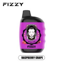 FIZZY Great 10000 Puffs 2 5 Acheter en vrac Écran LCD à faible teneur en nicotine Stylo vapes jetables rechargeables En gros 9 VapeXYZ
