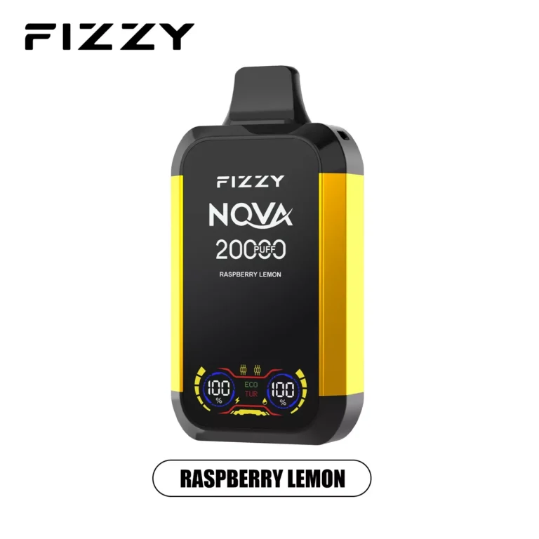 Was macht FIZZY Nova 20000 Puffs zu einer beliebten Wahl unter Vapern? 13 FIZZY Nova 20000 Puffs Dual Mesh LCD Screen Rechargeable Disposable Vapes