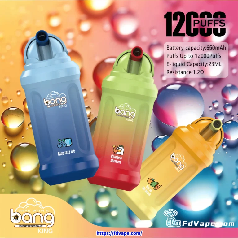 Hvorfor skal du købe Bang King og ZGAR engangsvape-produkter i bulk til din butik? Original Engros Bang King 12000 12k Puffs Engangs Vape 1 skaleret VapeXYZ