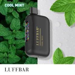 LUFFBAR Dually 20000 Puffs Dual Digital Screen 50mg Low Nicotine Original Factory 21 VapeXYZ