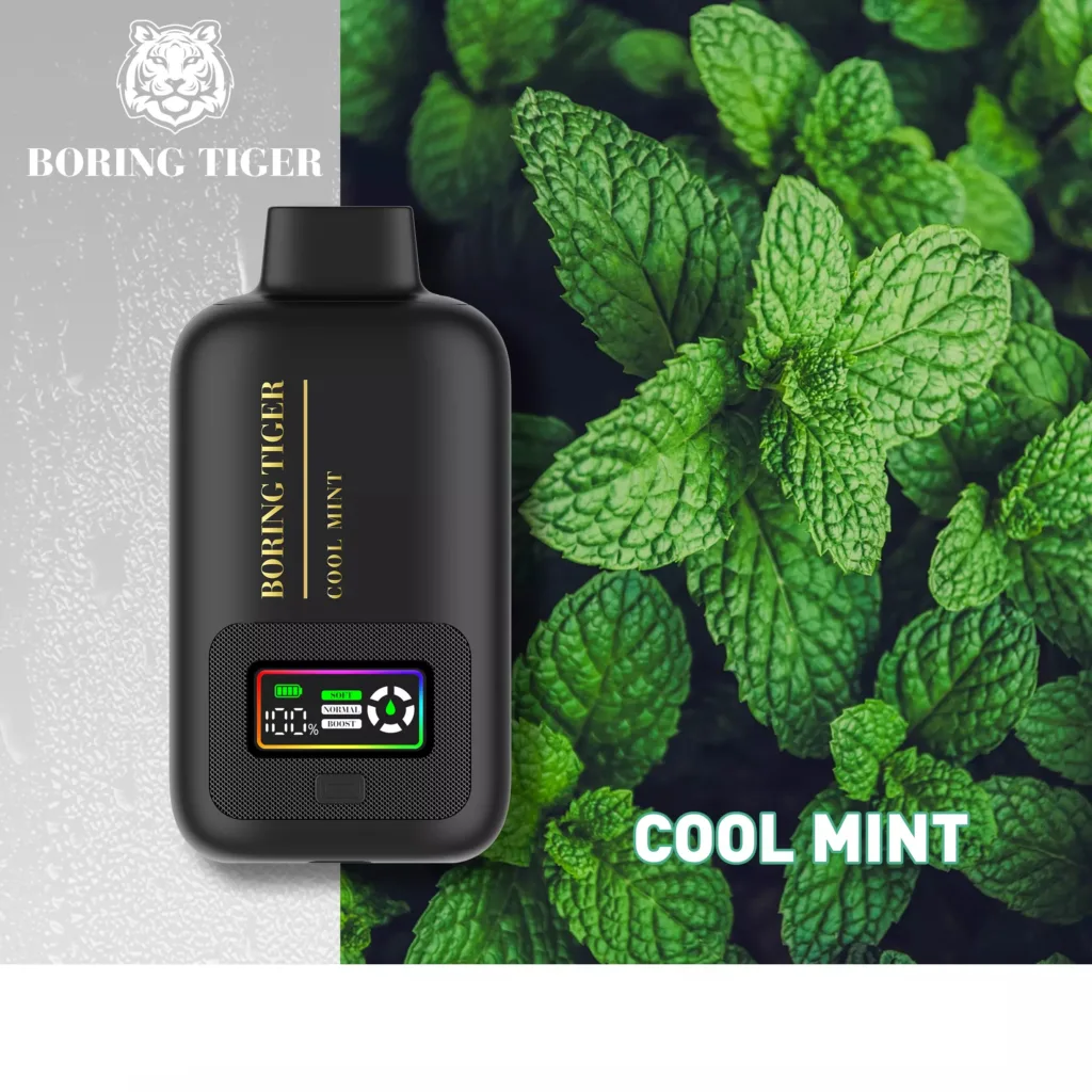 De ultieme gids voor High-Puff wegwerpbare vapes: Analyse van de VASY Boring Tiger 25000 2 VASY Saai Tijger Productdetail