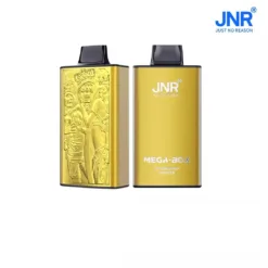 JNR Mega Box 25000 Puffs Dual Mesh 0 2 5 Low Nicotine Factory Original 23 VapeXYZ