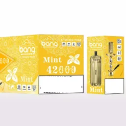 BANG 42000 Puffs BLAZE DSK038 Düşük Nikotinli Toplu Alım Orijinal Şarj Edilebilir Tek Kullanımlık Vape Toptan Satış 4 VapeXYZ