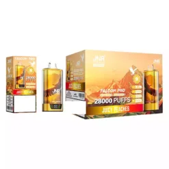 JNR Falcon Pro 28000 Puffs Nicotină Scăzută Cumpărare în Vrac Vape Rechargeable Originale de Unică Folosință Vândute en Gros 6 VapeXYZ