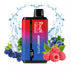 RAHDM 40000 Puffs HP20 Dual Flavor Low Nicotine Bulk Buy Original Rechargeable Disposable Vapes Wholesale 6 VapeXYZ