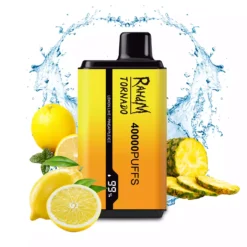 RAHDM 40000 Puffs HP20 Dual Flavor Low Nicotine Bulk Buy Original Rechargeable Disposable Vapes Wholesale 7 VapeXYZ