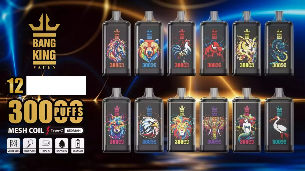 BANG KING 30000 Puffs DSK057 Acquisto in massa 30K Vape usa e getta ricaricabili all'ingrosso 1 VapeXYZ