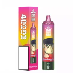 BANG KING 40000 Puffs DSK059 Toplu Alım Şarj Edilebilir Tek Kullanımlık Vape Toptan Satış