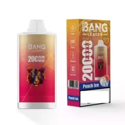 Leader BANG 20000 Puffs Acquisto in Massa Vape Monouso Ricaricabili all'Ingrosso