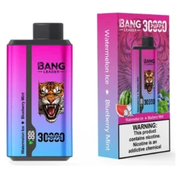 BANG LİDER 30000 Puffs Çift Tatlar Toplu Alım Şarj Edilebilir Tek Kullanımlık Vape Toptan Satış