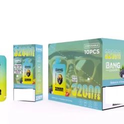 LEADER BANG 32000 bouffées  Deux saveurs Faible nicotine Achat en gros Vapes jetables rechargeables d'origine 5 VapeXYZ