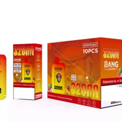 LEADER BANG 32000 bouffées  Deux saveurs Faible nicotine Achat en gros Vapes jetables rechargeables d'origine  Vente en gros 9 VapeXYZ