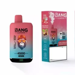 BANG LİDER 45000 Puffs İki Tadıyla Toplu Alım Şarj Edilebilir Tek Kullanımlık Vape Toptan Satış