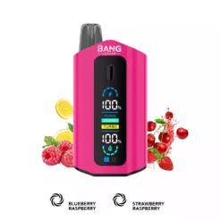 LEADER BANG 50000 bouffées  Deux saveurs Faible nicotine Achat en gros Vapes jetables rechargeables d'origine 12 VapeXYZ
