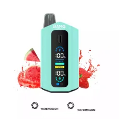 LEADER BANG 50000 bouffées  Deux saveurs Faible nicotine Achat en gros Vapes jetables rechargeables d'origine 5 VapeXYZ