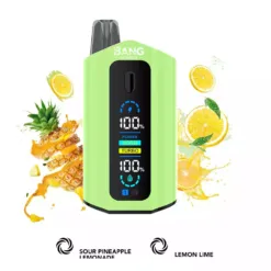 LEADER BANG 50000 bouffées  Deux saveurs Faible nicotine Achat en gros Vapes jetables rechargeables d'origine  Vente en gros 7 VapeXYZ