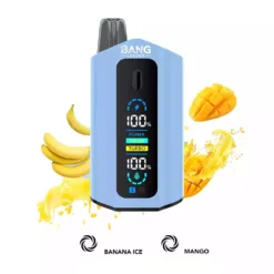 LEADER BANG 50000 bouffées  Deux saveurs Faible nicotine Achat en gros Vapes jetables rechargeables d'origine  Vente en gros 9 VapeXYZ