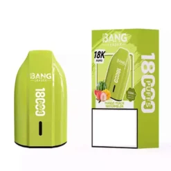 LÍDER BANG Vapes Descartáveis 18K Compra em Massa 18000 Puffs Fornecedor Atacado 2 VapeXYZ