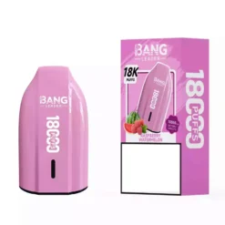 LÍDER BANG Vapes Descartáveis 18K Compra em Massa 18000 Puffs Fornecedor Atacado 4 VapeXYZ