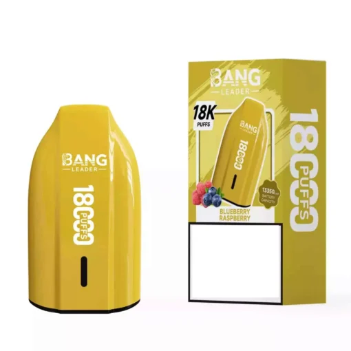 BANG LEADER 18K Disposable Vapes Bulk Buy 18000 Puffs Wholesale Supplier -  VapeXYZ
