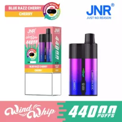JNR WIND WHIP 44K 44000 Puffs Type C Fast Charge Smart Screen Disposable Vape Wholesale Bulk Buy 11 VapeXYZ