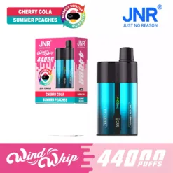 JNR WIND WHIP 44K 44000 Puffs Type C Fast Charge Smart Screen Disposable Vape Wholesale Bulk Buy 6 VapeXYZ