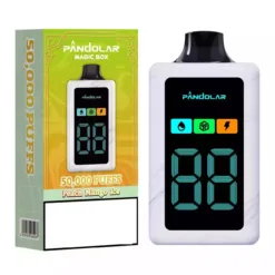 Caja Mágica PANDOLAR 50000 Puffs 50K Vapes Desechables Compra al Por Mayor Tecnología de Doble Malla 16 Caja Mágica PANDOLAR 50000 Puffs Opciones triples 50K Vapes desechables Compra al por mayor Tecnología de doble malla 7 VapeXYZ