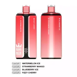 BANG BOX 160000 Puffs Disposable Vapes 160K Wholesale Bulk Buy 4 tastes Smart Digital Screen