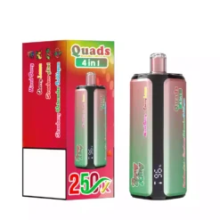 BANG KING 250K Puffs DSK074 Quads 4in1 Disposable Vapes Χονδρική Αγορά Μεγάλες Ποσότητες 250000 Puffs Quad System Mesh Coil Τύπου C Αναπλήρωση 3 VapeXYZ