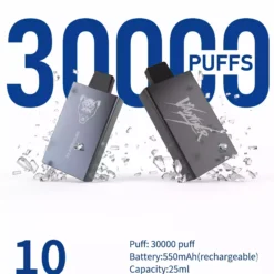VANTHER 30K DSK077 30000 Puffs Einweg-Vapes Großhandel Massen Kauf Dual Mesh Coil