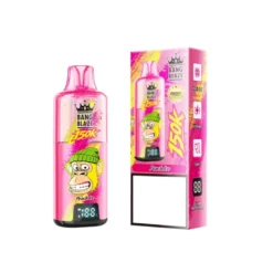 BANG BLAZE 150K Puffs 150000 Rechargeable Mesh Coil Disposable Vapes Wholesale Bulk Buy 22 BANG BLAZE 150K Puffs 150000 Rechargeable Mesh Coil Disposable Vapes Wholesale Bulk Buy 9 VapeXYZ
