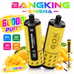 BANG KING Shisha 60K DSK091 DTL 60000 Puffs Disposable Vapes Wholesale Bulk Buy Mesh Coil