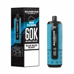 Альтернативный вид BANG KING Shisha 60K DSK091 DTL 60000 Puffs Disposable Vapes Wholesale Bulk Buy Mesh Coil