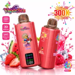 BANG VAPORSEA 300K DSK092 6 In 1 Taste Triple Mesh 300000 Puffs Rechargeable Disposable Vapes Wholesale Bulk Buy